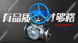 無聲蹤影 靜無止境-中國 · 埃尼斯消聲止回閥