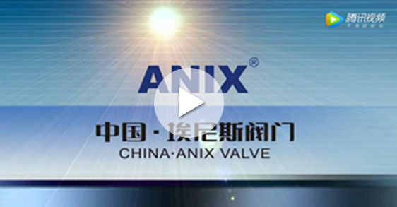 中国 · 埃尼斯消企业视频