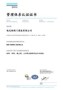 ISO45001职业健康安全管理体系证书